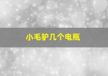 小毛驴几个电瓶