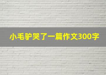 小毛驴哭了一篇作文300字