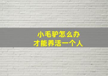 小毛驴怎么办才能养活一个人