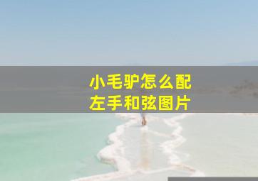 小毛驴怎么配左手和弦图片