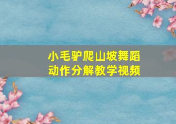 小毛驴爬山坡舞蹈动作分解教学视频