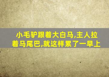 小毛驴跟着大白马,主人拉着马尾巴,就这样累了一早上