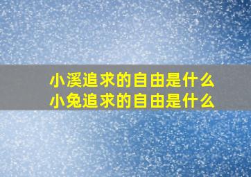 小溪追求的自由是什么小兔追求的自由是什么