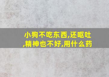 小狗不吃东西,还呕吐,精神也不好,用什么药