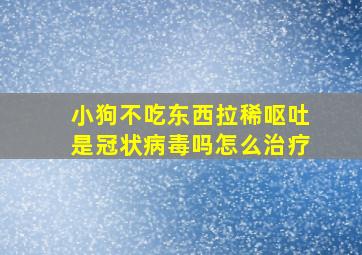 小狗不吃东西拉稀呕吐是冠状病毒吗怎么治疗