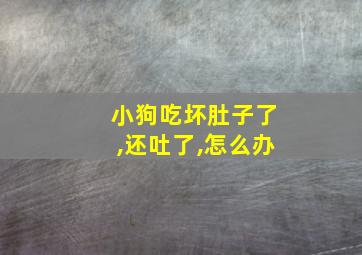 小狗吃坏肚子了,还吐了,怎么办