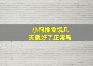 小狗挑食饿几天就好了正常吗