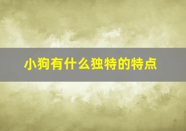 小狗有什么独特的特点