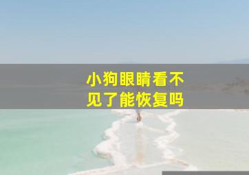 小狗眼睛看不见了能恢复吗