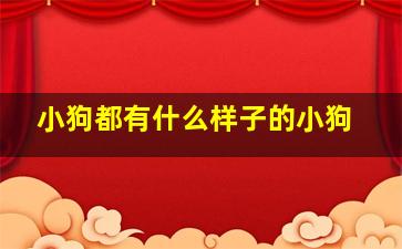 小狗都有什么样子的小狗