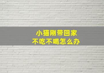 小猫刚带回家不吃不喝怎么办