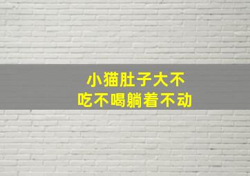 小猫肚子大不吃不喝躺着不动