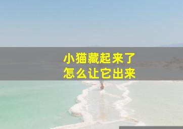 小猫藏起来了怎么让它出来