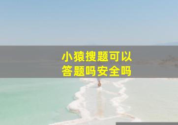 小猿搜题可以答题吗安全吗