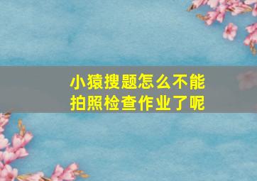 小猿搜题怎么不能拍照检查作业了呢