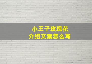 小王子玫瑰花介绍文案怎么写