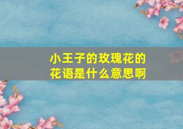 小王子的玫瑰花的花语是什么意思啊