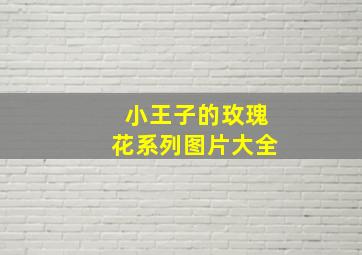 小王子的玫瑰花系列图片大全