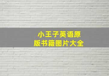 小王子英语原版书籍图片大全