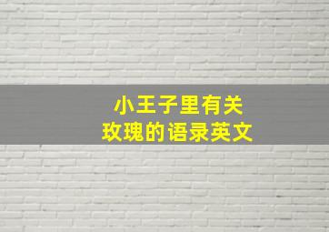 小王子里有关玫瑰的语录英文