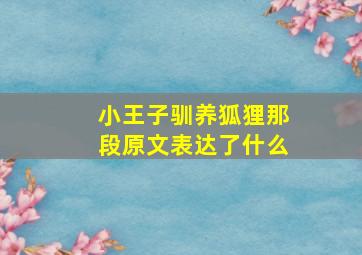 小王子驯养狐狸那段原文表达了什么