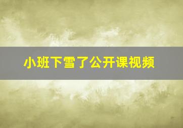 小班下雪了公开课视频