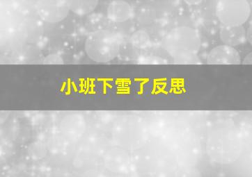 小班下雪了反思