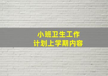 小班卫生工作计划上学期内容