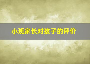 小班家长对孩子的评价