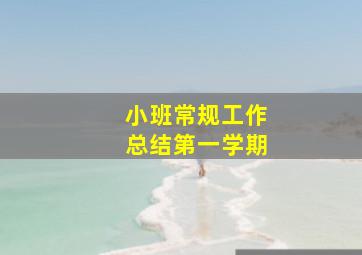 小班常规工作总结第一学期