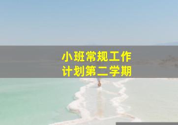 小班常规工作计划第二学期