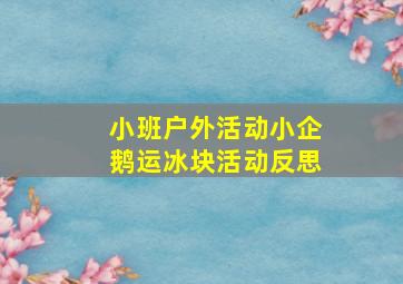 小班户外活动小企鹅运冰块活动反思