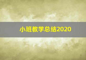 小班教学总结2020