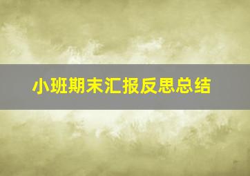 小班期末汇报反思总结