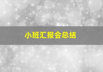 小班汇报会总结