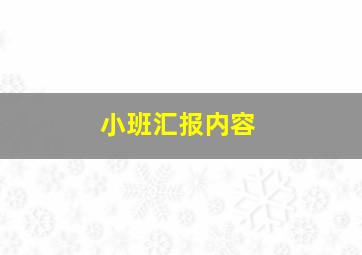 小班汇报内容