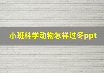 小班科学动物怎样过冬ppt