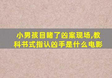 小男孩目睹了凶案现场,教科书式指认凶手是什么电影