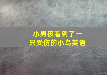 小男孩看到了一只受伤的小鸟英语