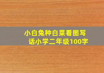 小白兔种白菜看图写话小学二年级100字