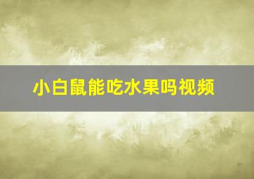 小白鼠能吃水果吗视频