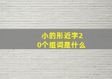 小的形近字20个组词是什么