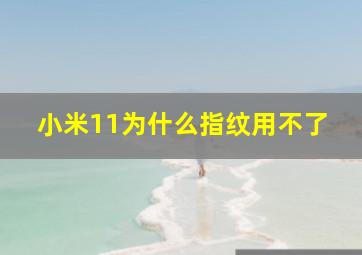 小米11为什么指纹用不了