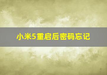 小米5重启后密码忘记