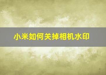 小米如何关掉相机水印