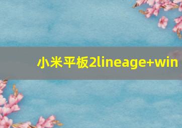 小米平板2lineage+win