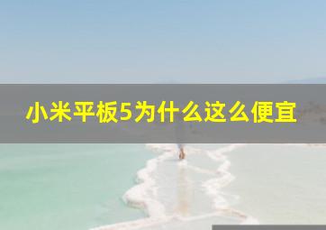 小米平板5为什么这么便宜