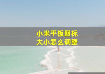 小米平板图标大小怎么调整