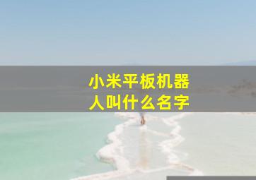 小米平板机器人叫什么名字