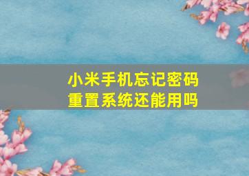 小米手机忘记密码重置系统还能用吗